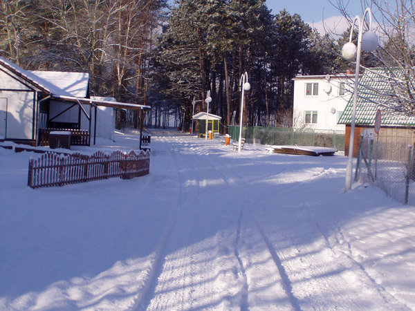 Karwia zimą — zdjęcie 5