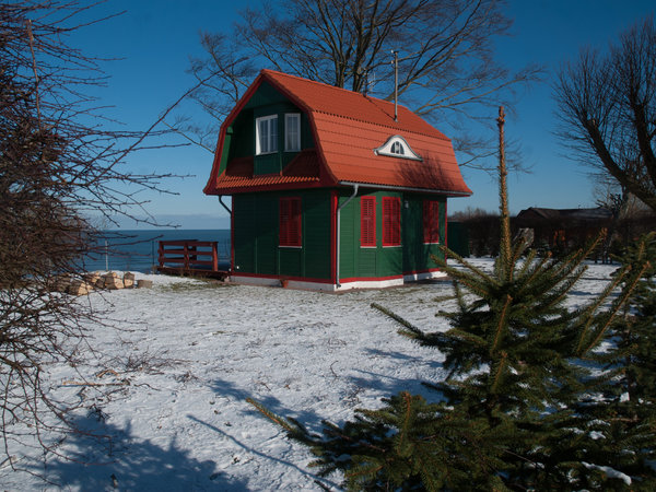 Karwia zimą — zdjęcie 12